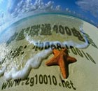 400电话如何申请